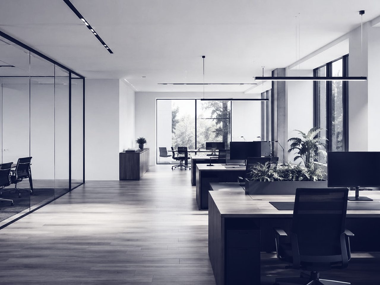 A modern office interior